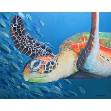 Sea Turtle and Fish